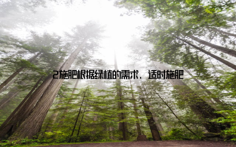 2施肥根据绿植的需求, 适时施肥