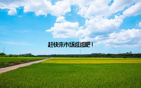 赶快来市场逛逛吧!