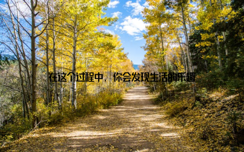 在这个过程中, 你会发现生活的乐趣