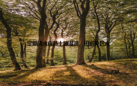 定期浇水保持土壤湿润, 但避免积水