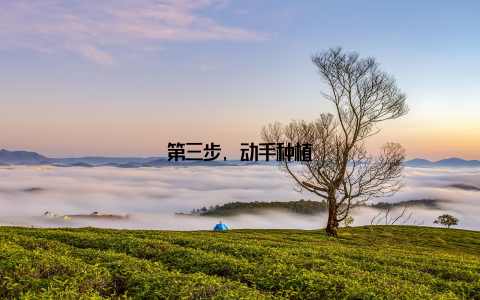 第三步, 动手种植