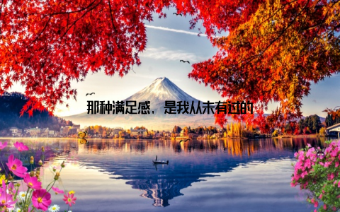 那种满足感, 是我从未有过的