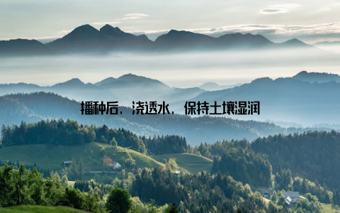 播种后, 浇透水, 保持土壤湿润