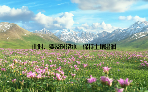 此时, 要及时浇水, 保持土壤湿润