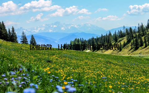 这些功效, 让我对四季海棠更加敬畏