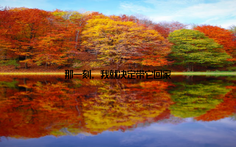 那一刻, 我就决定带它回家