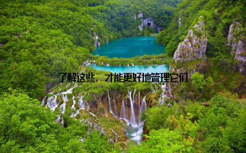 了解这些, 才能更好地管理它们