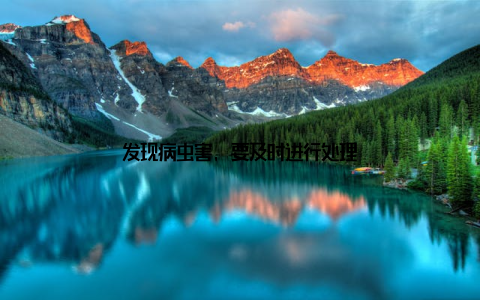 发现病虫害, 要及时进行处理