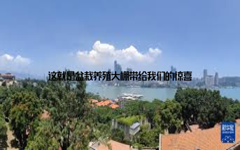 这就是盆栽养殖大棚带给我们的惊喜
