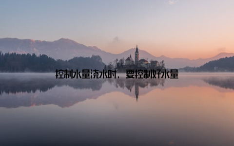 控制水量浇水时, 要控制好水量