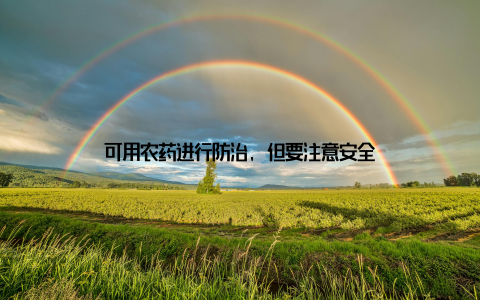 可用农药进行防治, 但要注意安全