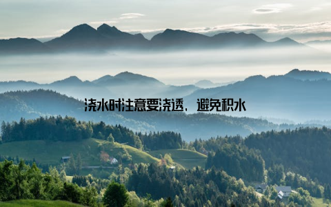 浇水时注意要浇透, 避免积水