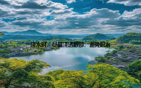 浇水时, 尽量浇透根部, 避免积水