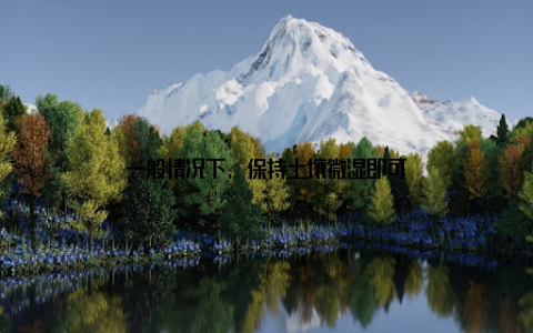 一般情况下, 保持土壤微湿即可