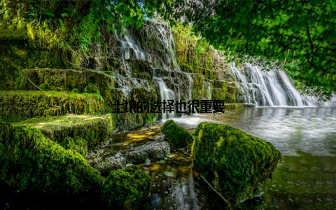 土壤的选择也很重要