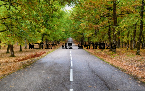 第三个地方, 就是一些专门的园艺店