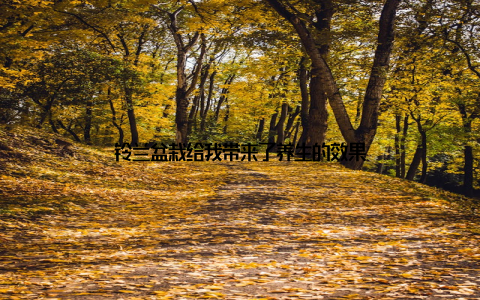 铃兰盆栽给我带来了养生的效果