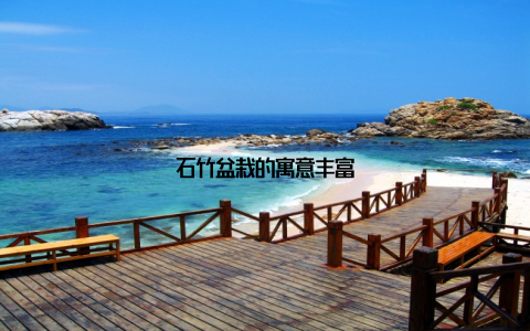 石竹盆栽的寓意丰富