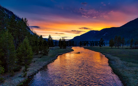 浇水保持土壤湿润, 但不宜积水