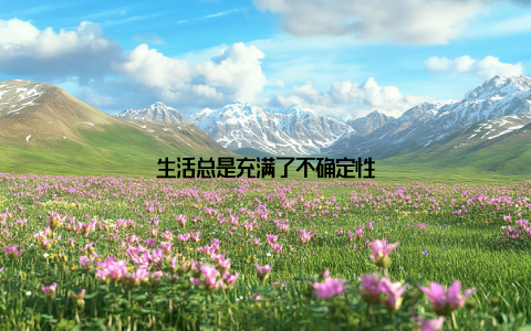 生活总是充满了不确定性