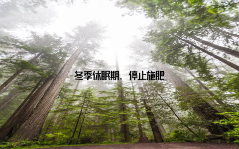 冬季休眠期, 停止施肥