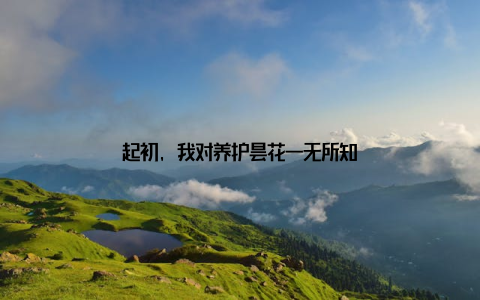 起初, 我对养护昙花一无所知