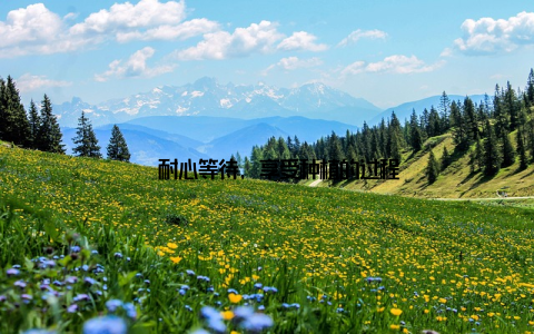 – 耐心等待, 享受种植的过程