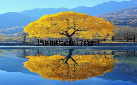 得说说我与这些竹子的缘分