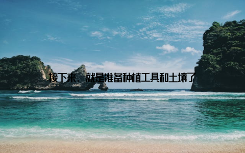 接下来, 就是准备种植工具和土壤了