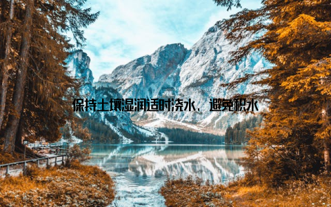 保持土壤湿润适时浇水, 避免积水