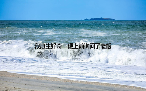 我心生好奇, 便上前询问了老板