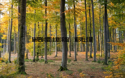 施肥时要注意浓度, 避免过量