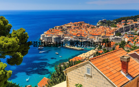 芦荟盆栽的走红, 离不开网络的力量