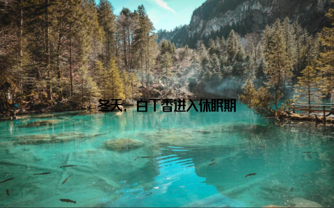 冬天, 白丁香进入休眠期