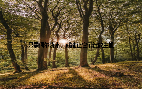 只需偶尔浇水, 就能让它们绽放生机