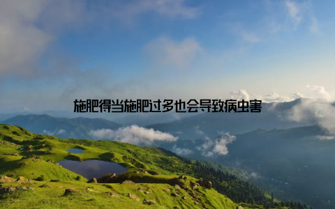 施肥得当施肥过多也会导致病虫害