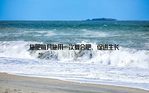 施肥每月施用一次复合肥, 促进生长