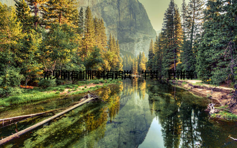 常见的有机肥料有鸡粪、牛粪、豆饼等