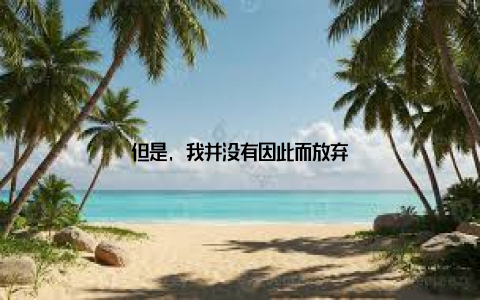 但是, 我并没有因此而放弃