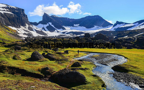 美国石竹盆栽的美丽是其最大的亮点