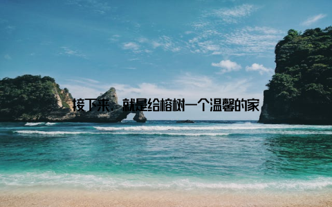 接下来, 就是给榕树一个温馨的家