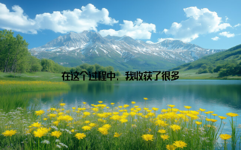 在这个过程中, 我收获了很多