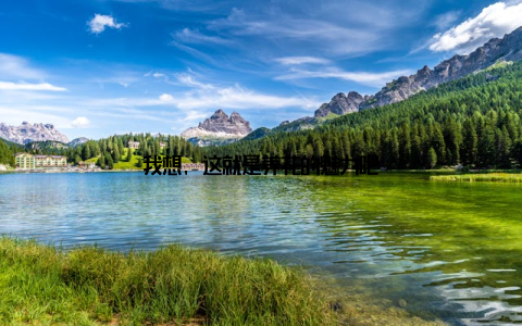 我想, 这就是养花的魅力吧