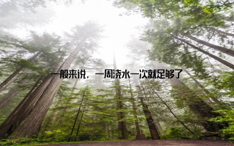 一般来说, 一周浇水一次就足够了