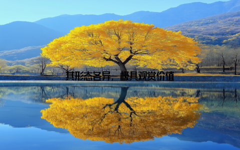 其形态各异, 极具观赏价值