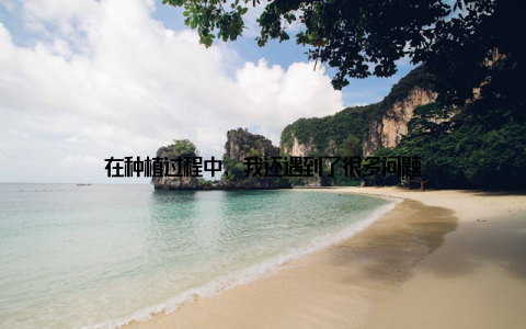 在种植过程中, 我还遇到了很多问题