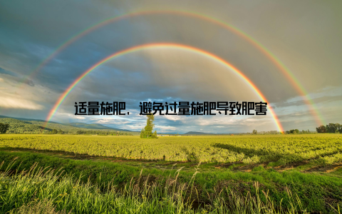 适量施肥, 避免过量施肥导致肥害