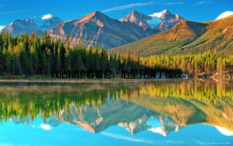 我心疼地看着它, 心里充满了愧疚