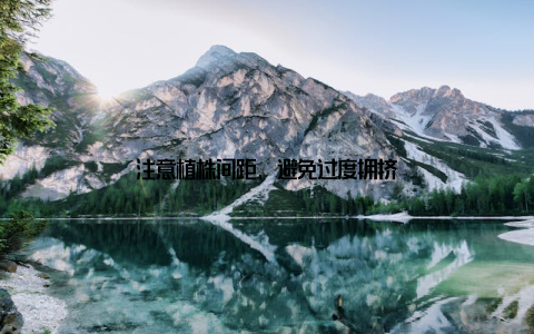 注意植株间距, 避免过度拥挤