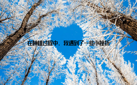 在种植过程中, 我遇到了一些小挫折